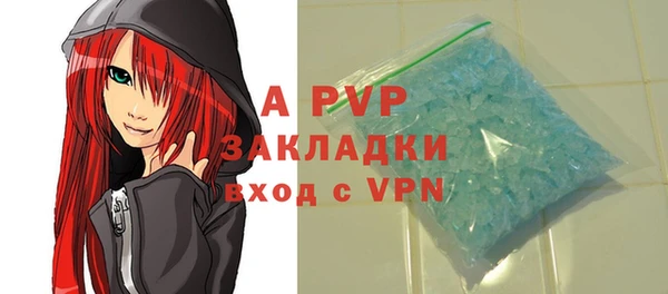 индика Нея