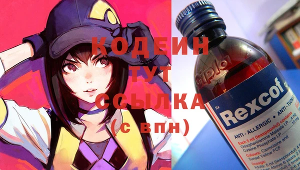индика Нея